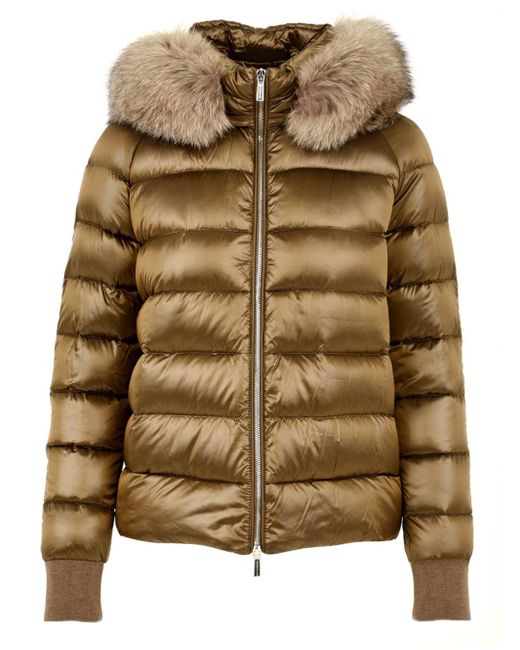 Moorer Coats in het Brown