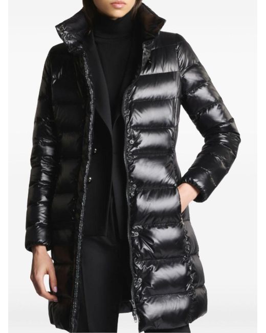 Fay Jackets in het Black