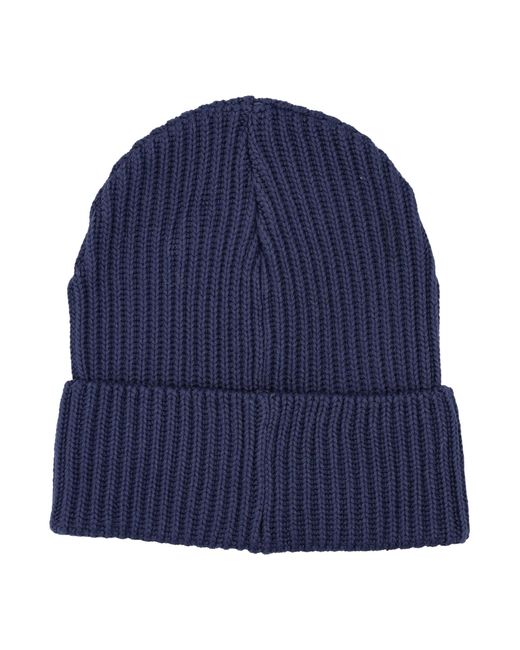 Patagonia Blue Fisherman S Rolled Ribbed Beanie for men