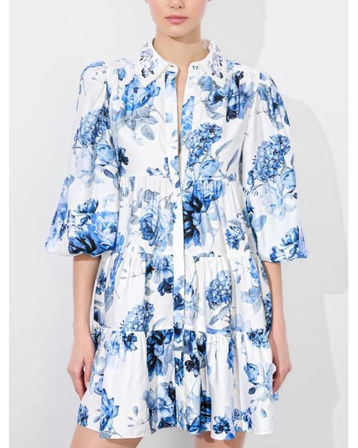 Alice + Olivia Blue Dresses Multi Colour