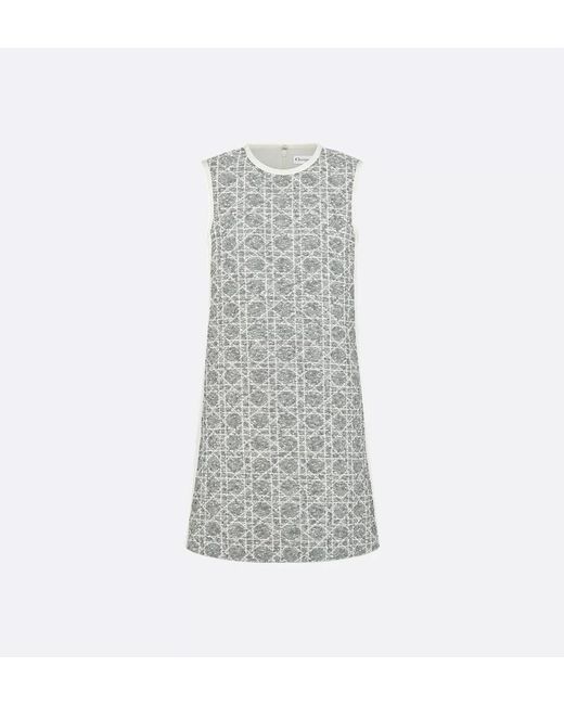 Dior Gray Dress