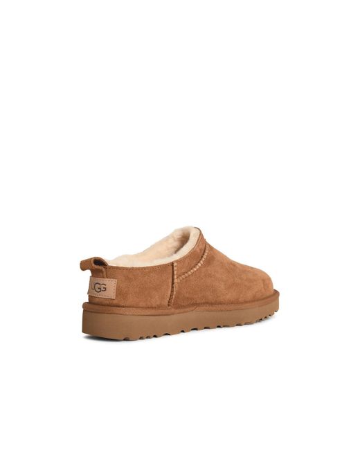 Bottes de daim de châtaignier «Micro» classique Ugg pour homme en coloris Brown