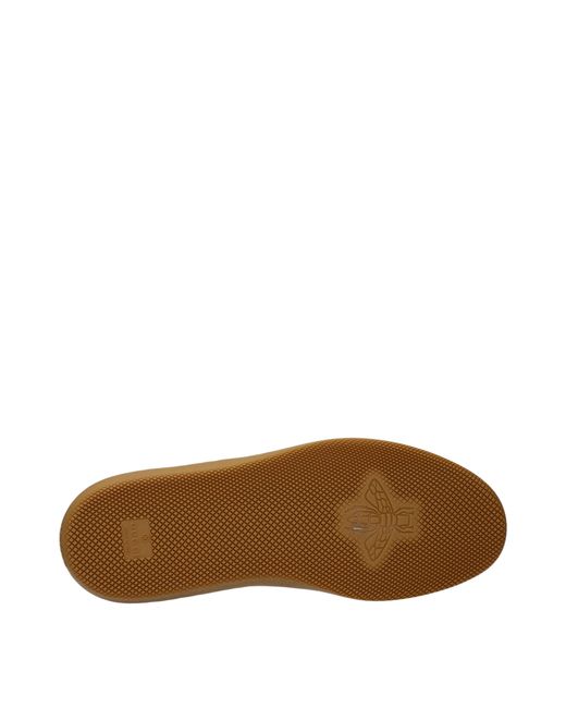 Gucci Brown Sneakers/ Fabric