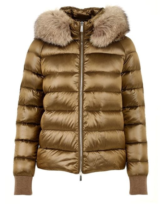 Moorer Coats in het Brown