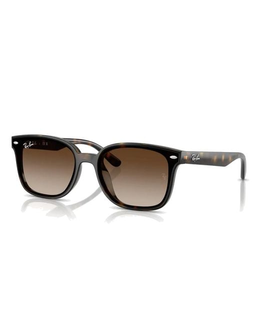 Ray-Ban Brown Ray Ban Rb4461 D Sunglasses