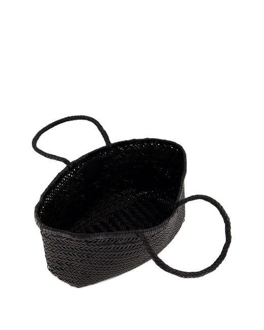 Dragon Diffusion Black Drachenverbreitung