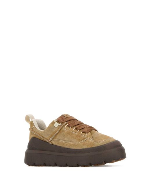 Ugg Brown Chestnut Solid Sneakers for men