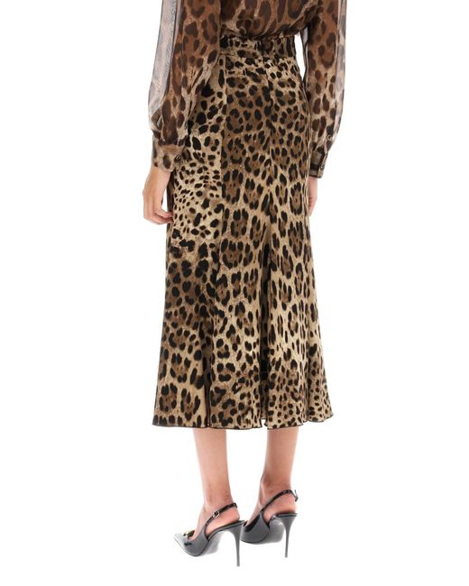 Falda plato de cady con estampado de leopardo Dolce & Gabbana de color Brown