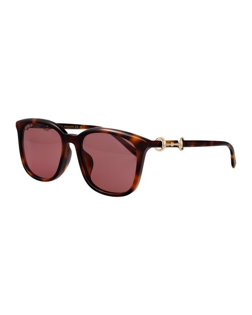 Gucci Brown Havana-Havana- Acetate Sunglasses