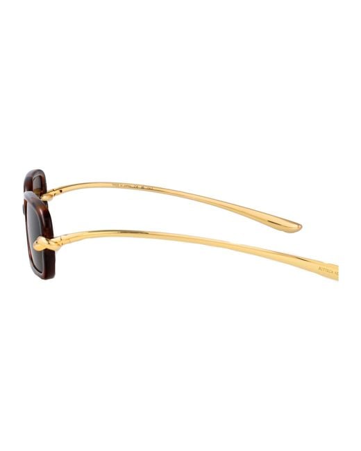 Bottega Veneta Brown Havana-- Injected Sunglasses