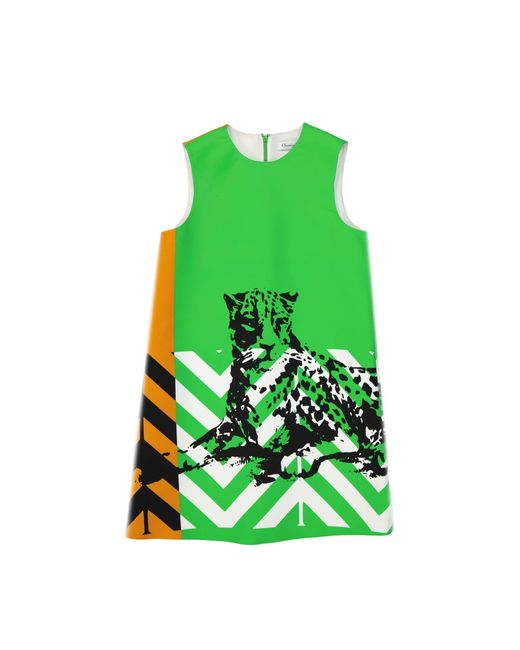 Dior Green Printed Mini Dress