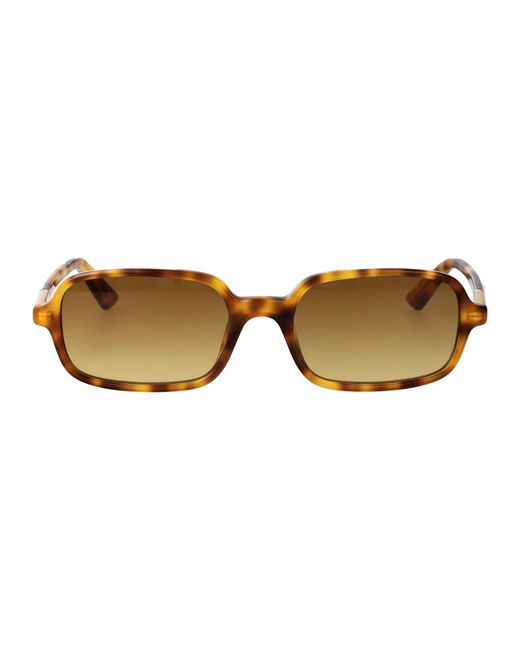 Chloé Natural Havana-Havana- Acetate Sunglasses