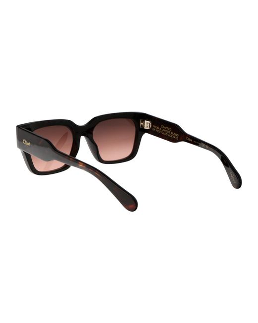 Chloé Brown Eyewear
