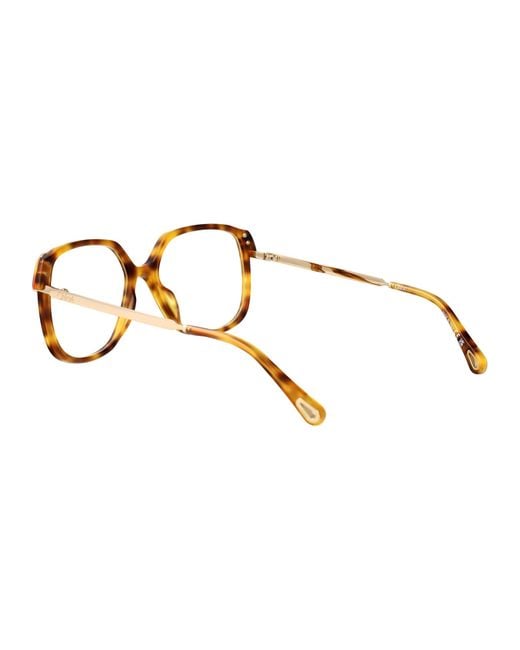 Chloé Brown Squared Optical Ch0287 O 008
