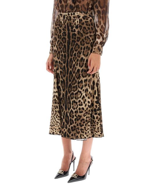 Falda plato de cady con estampado de leopardo Dolce & Gabbana de color Brown