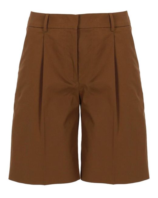 PT Torino Brown Classic Shorts