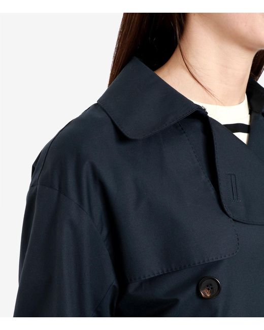Max Mara Blue Coats