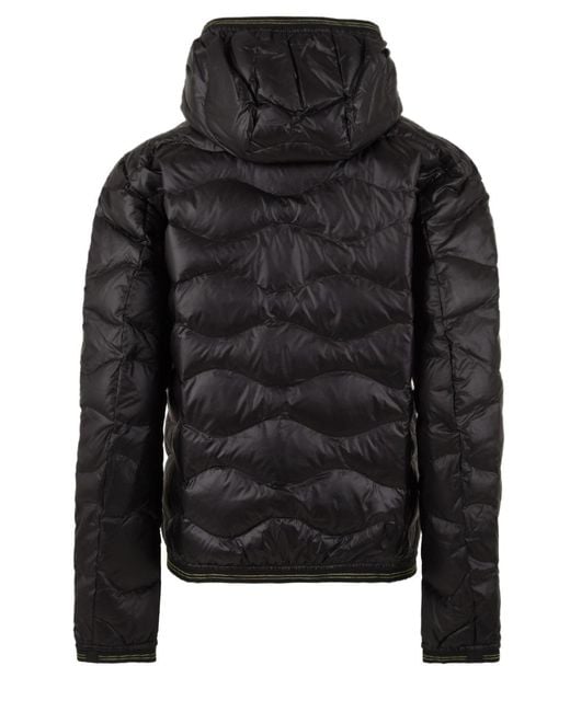 Blauer Black Coats