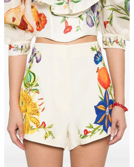 ALÉMAIS Multicolor Alemis Flores High Taille Shorted Shorted