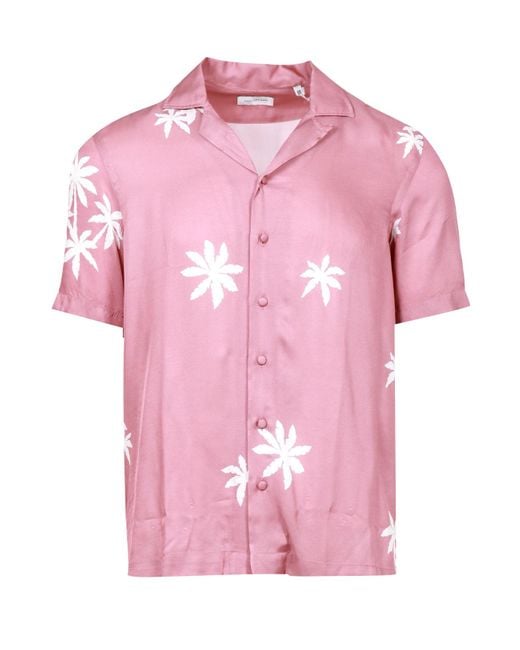 Tagliatore Pink Shirts for men