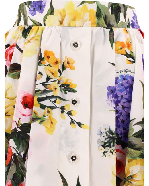 Garden Círculo impreso Círculo Dolce & Gabbana de color White