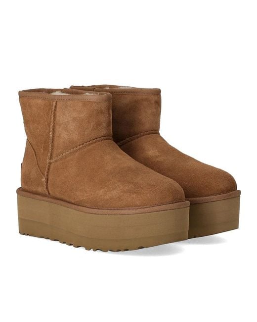 Ugg Brown Classic Mini Platform Chestnut Boot