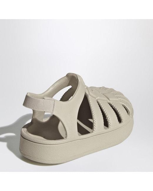 Adidas Originals Natural Superstar Sandals