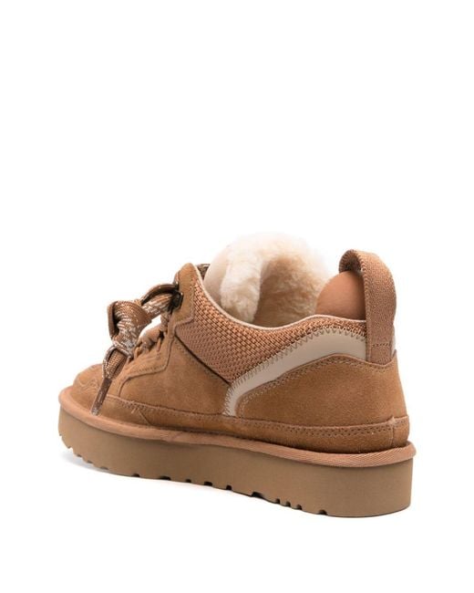 Ugg Brown Lowmel Sneakers