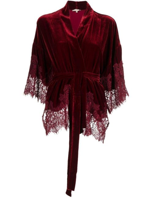 Gold Hawk Red Hawk Velvet Short Kimono