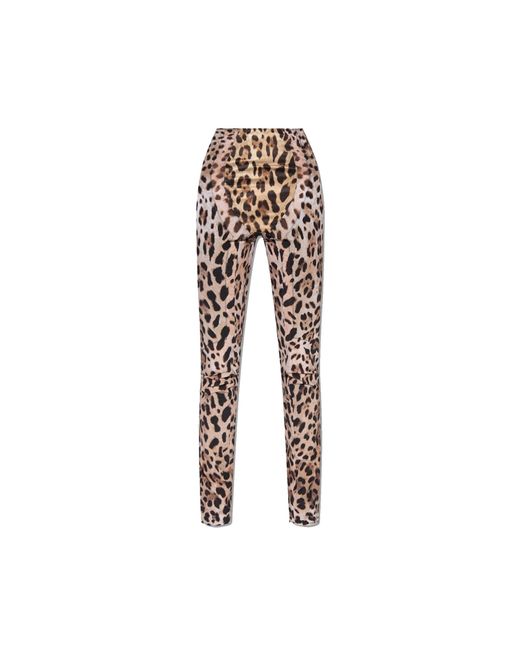 Dolce & Gabbana Multicolor X Kim Leopard Pants