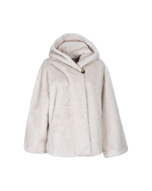 Violanti White Violanti Grey
