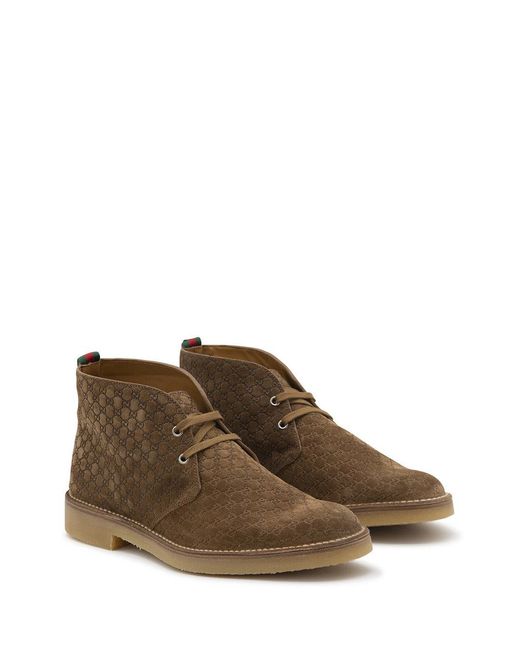 Gucci Brown Gucci Beige