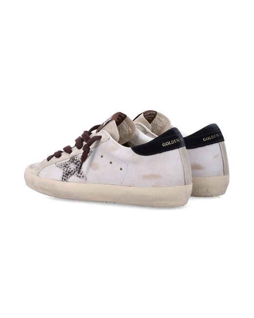 Golden Goose Deluxe Brand Multicolor Statement Sneakers For The Modern