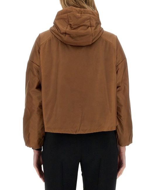 Herno Brown Nylon Jacket