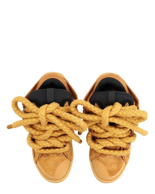 Lanvin Brown Curb Sneakers