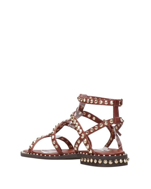 Ash Brown Sandals