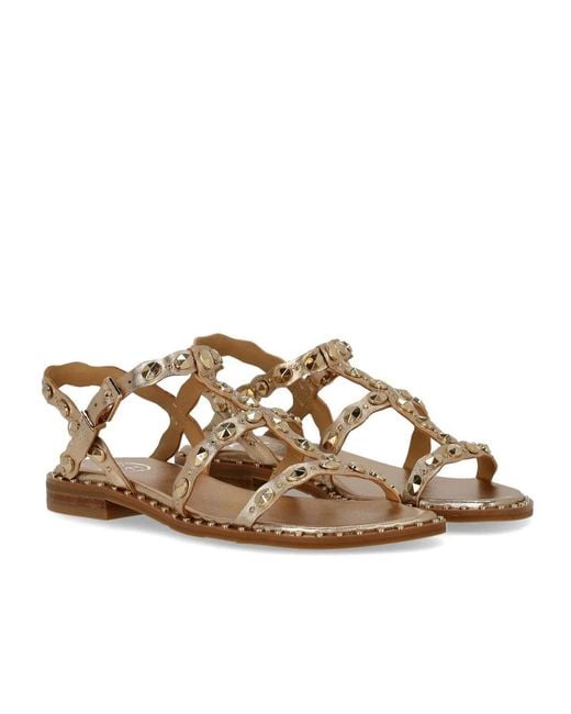 Ash Brown Plus Flat Sandal