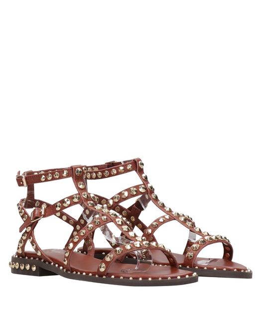 Ash Brown Sandals