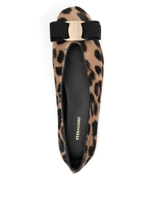 Ferragamo Brown Ferragamo Flat Shoes