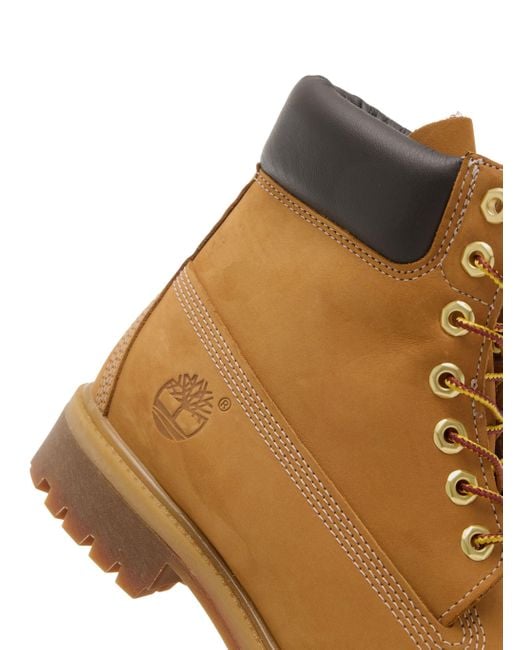 Timberland Brown Lacedup for men
