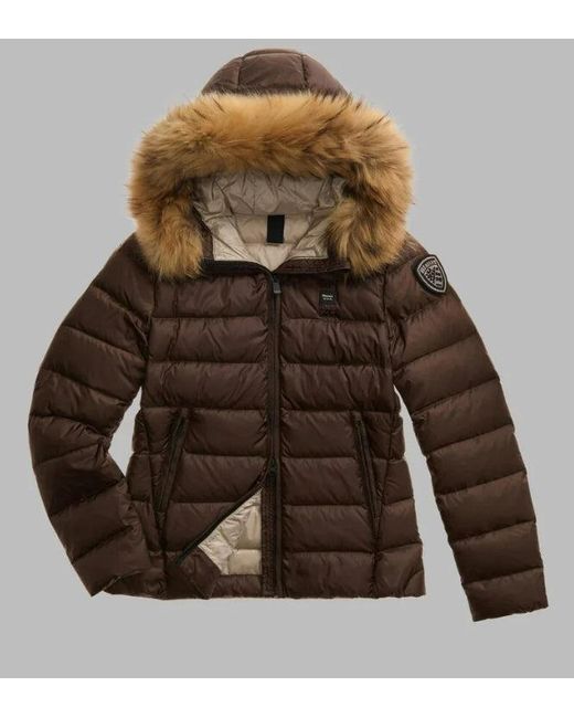 Blauer Brown Arcadia