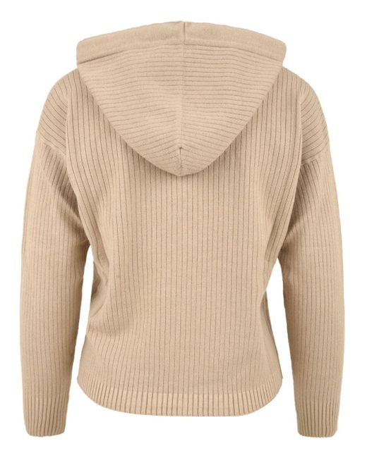 hinnominate Natural Pullover braun