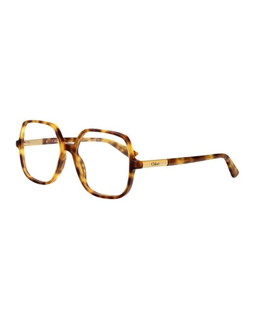 Chloé Brown Acetate Glasses