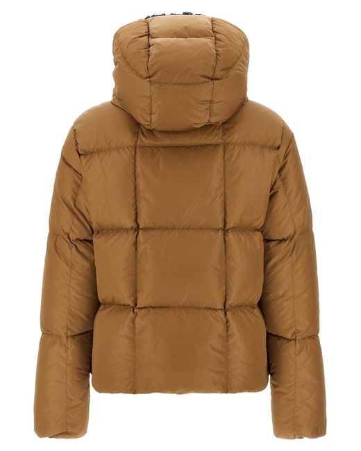 Moncler Brown Castelnou' Down Jacket