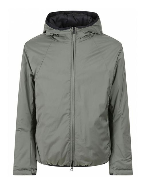 Colmar Anders in het Gray