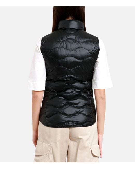 Blauer Black Sweaters