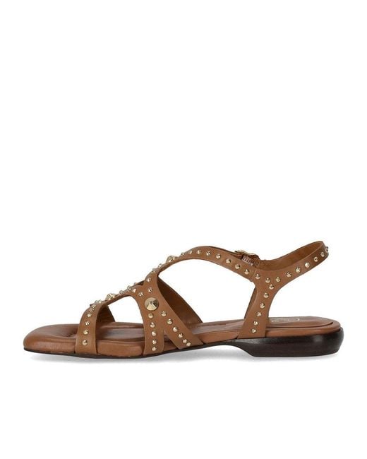 Ash Brown Ruby Cinnamon Flat Sandal