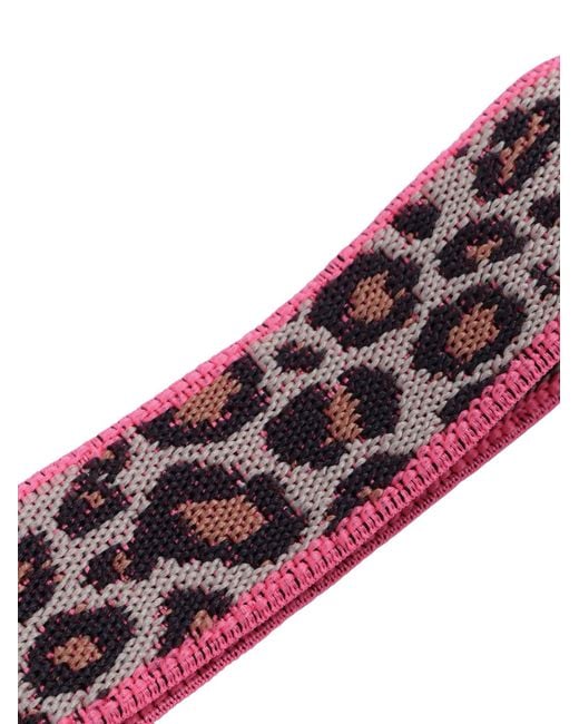Bellerose Purple Cylia61 F2600 Belts