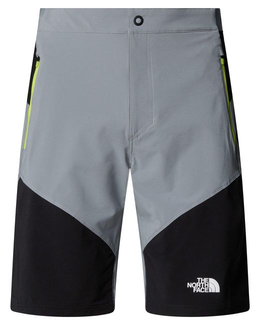 The North Face Het Noordelijke Gezicht in het Gray voor heren