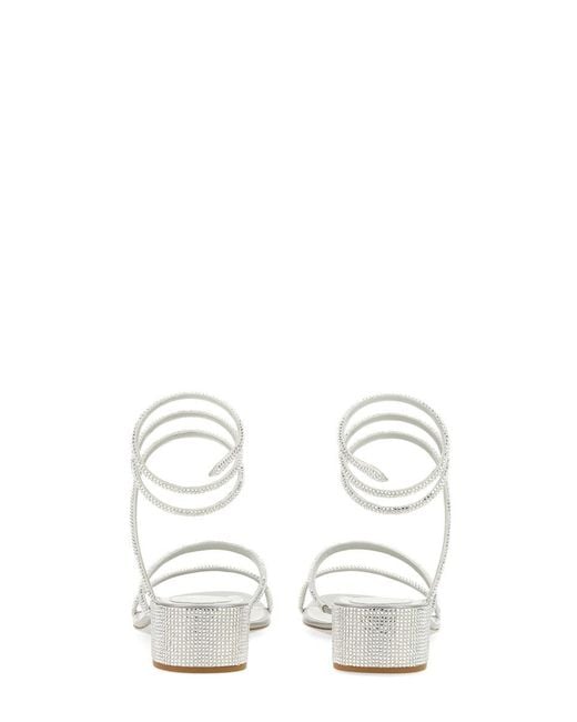 Rene Caovilla White Sandalo Cleo